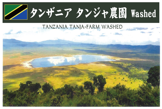 タンザニア タンジャ農園 Washed