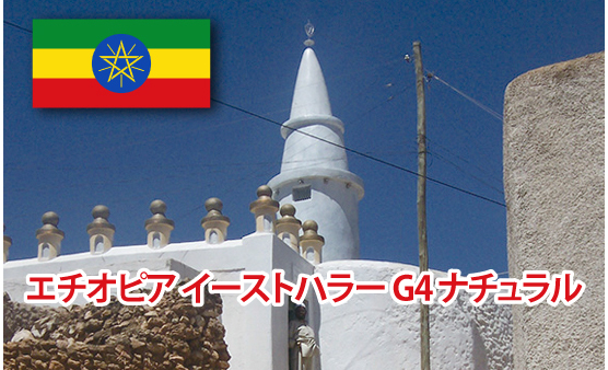 11月の特選珈琲豆「エチオピア イーストハラー G4 ナチュラル」